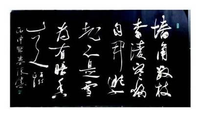 書法家張偉,青島書法家張偉