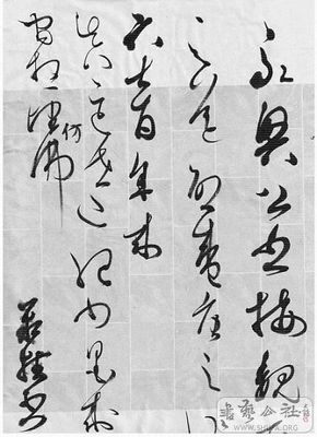 展字草書