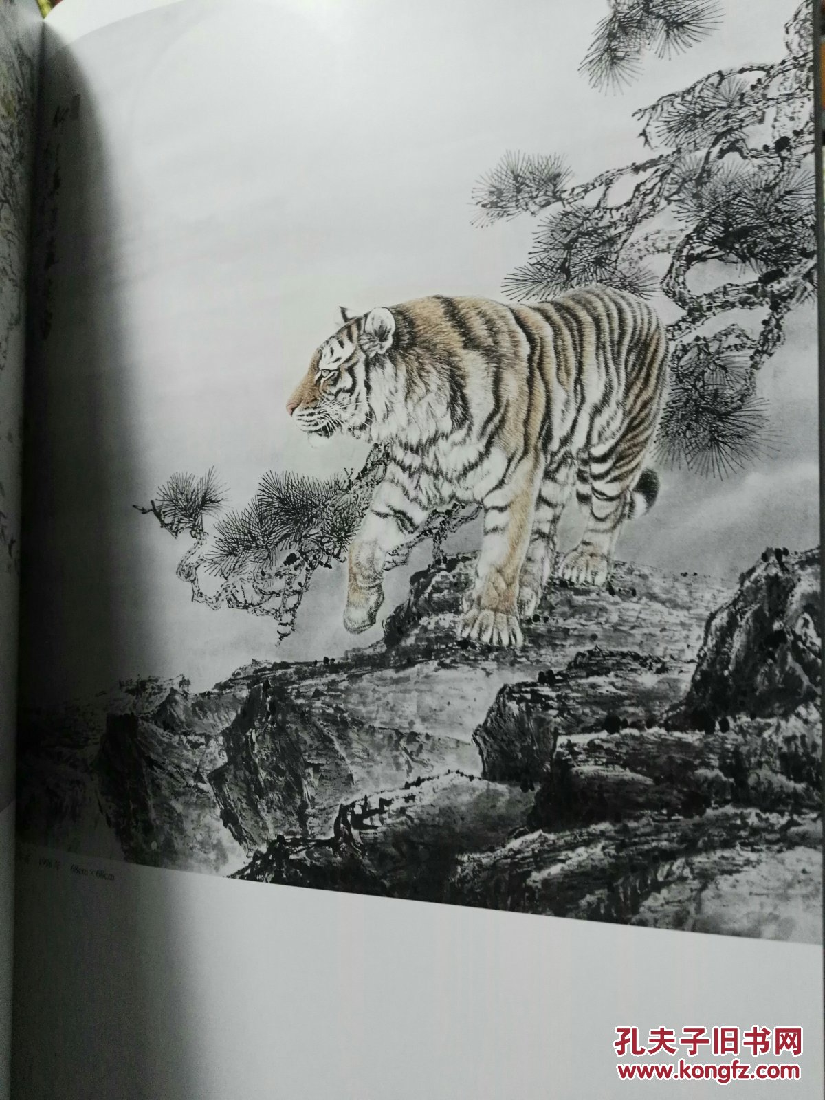 中國畫名家畫虎,國畫虎作品大全大圖
