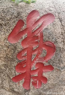 草書壽字怎么寫