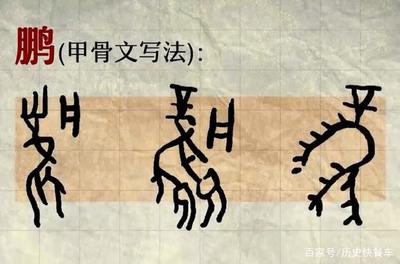 鵬的寫法