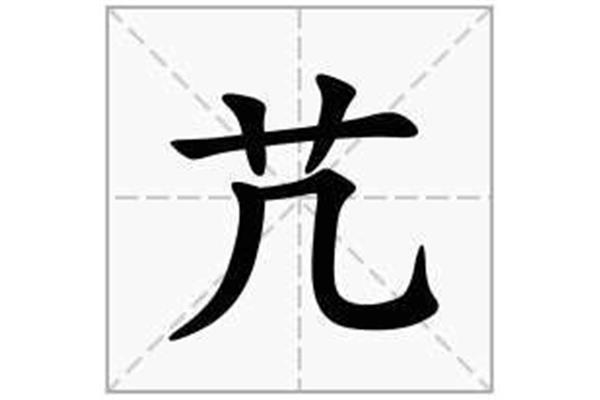 些字草書(shū)