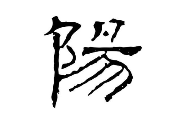陽(yáng)字隸書怎么寫