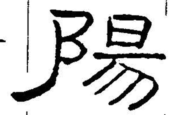 陽(yáng)字隸書怎么寫