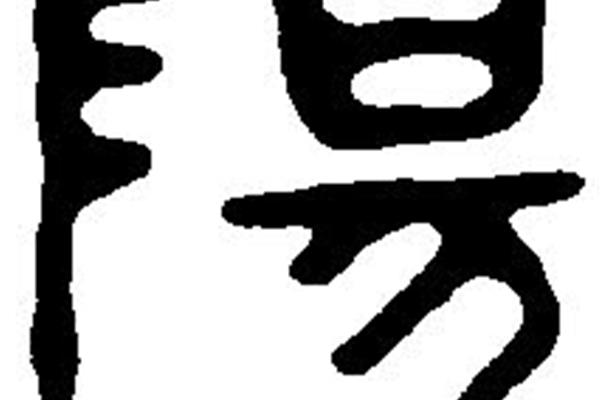 陽(yáng)字隸書怎么寫