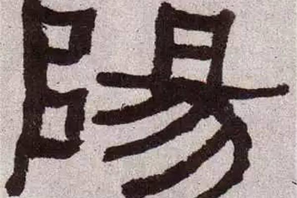 陽(yáng)字隸書怎么寫